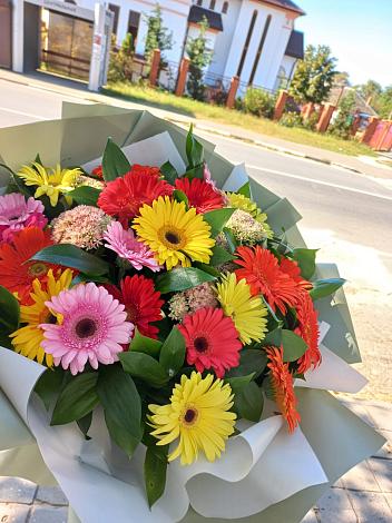 Букет цветов из: Герберы в Старопавловской